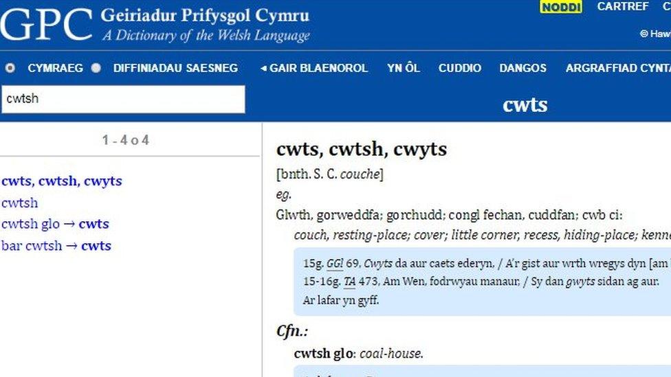 Cwts yng Ngeiriadur Prifysgol Cymru