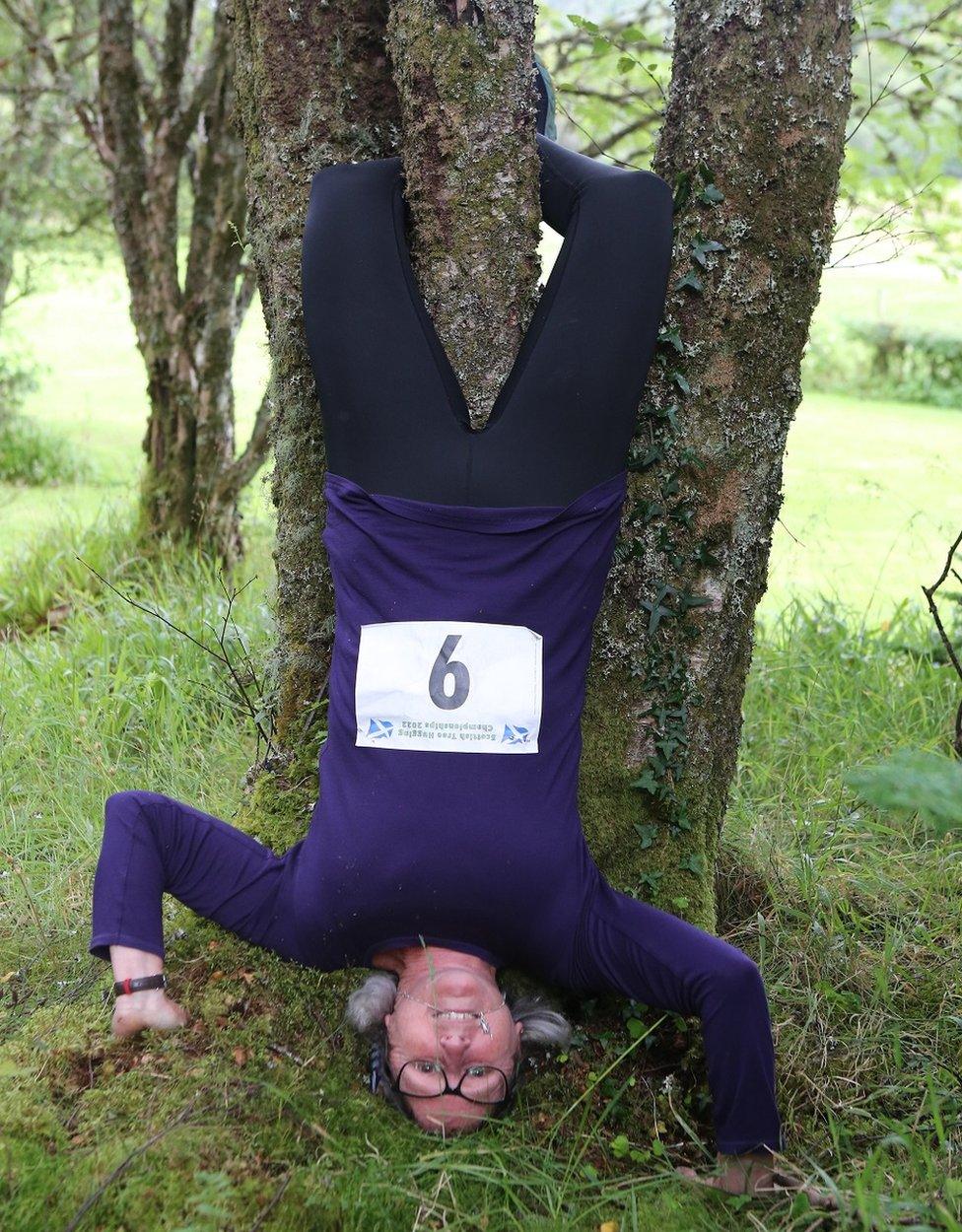 Tree hugging championships