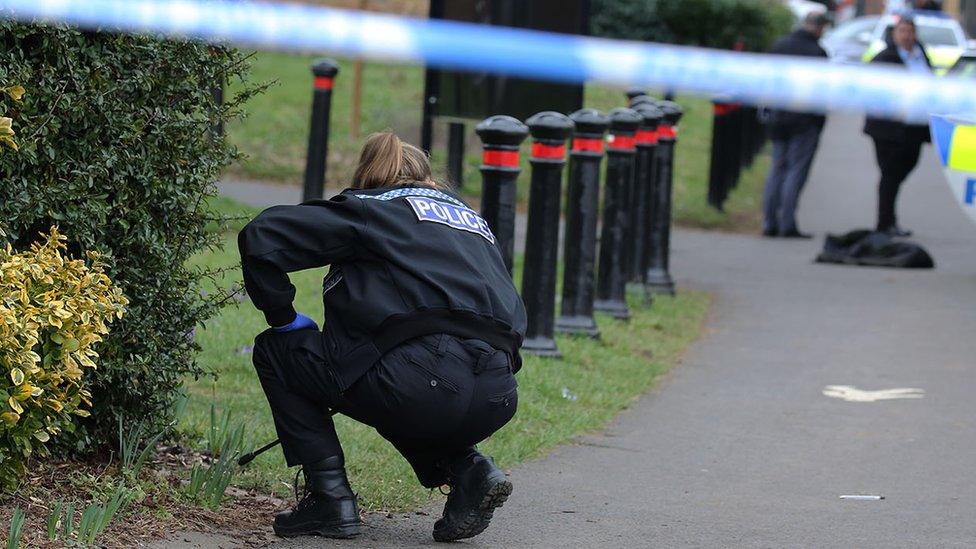 Police at a scene by a Hemel Hempstead Park