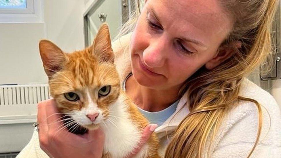 Ginger cat being embraced by a woman with long blond hair