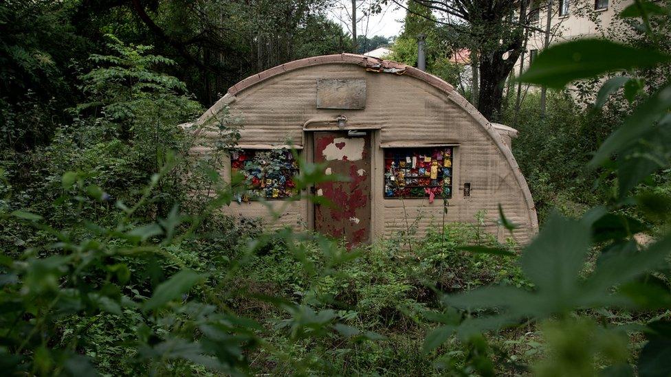 An overgrown hut