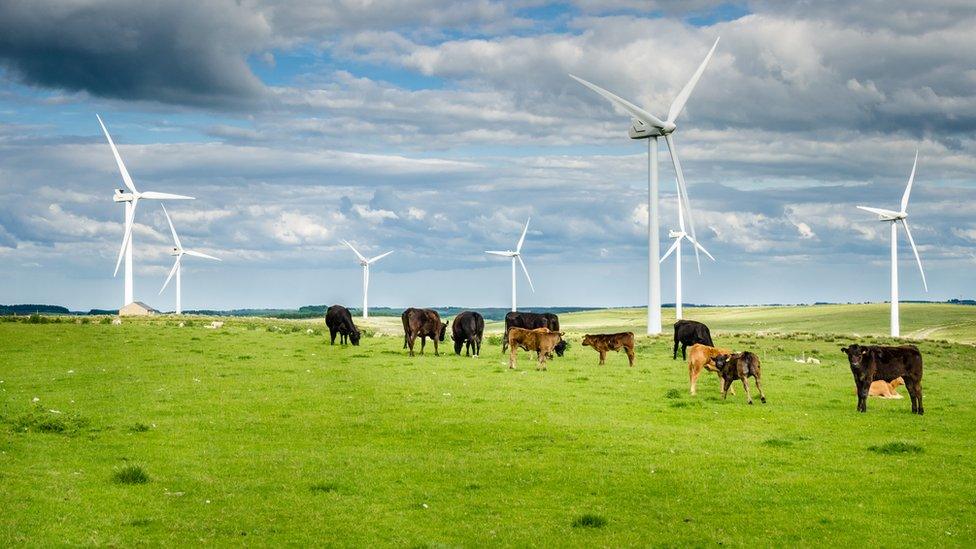 Wind turbines in Northumberland