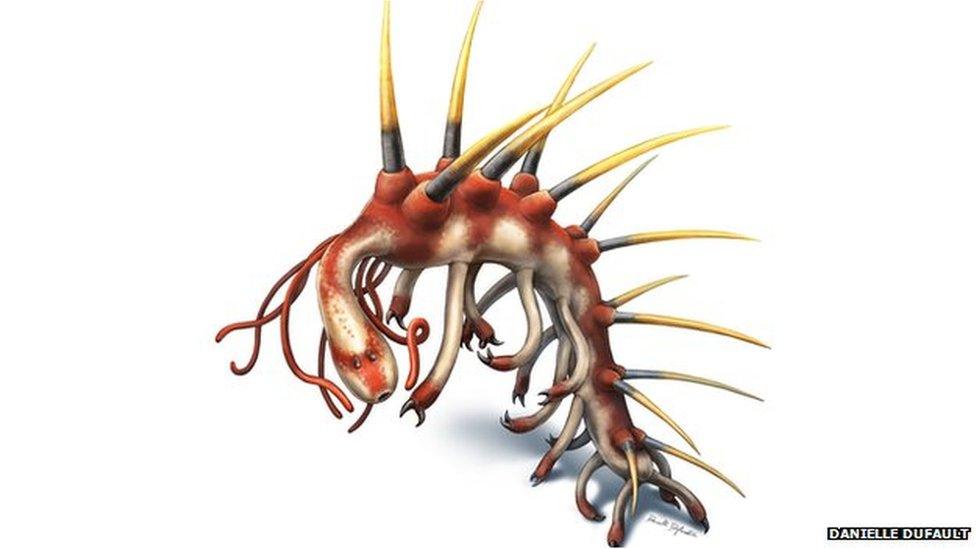 Hallucigenia