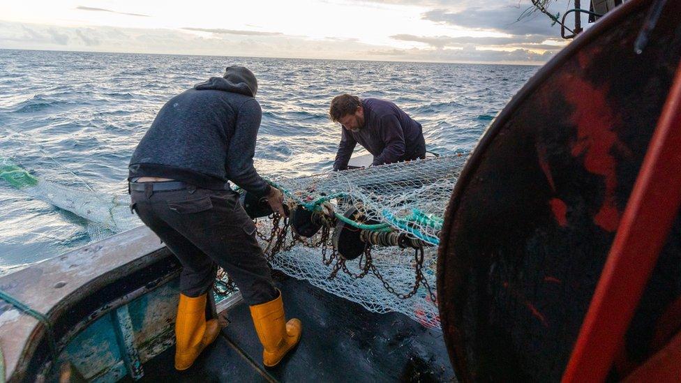 Fishermen taking in a catch