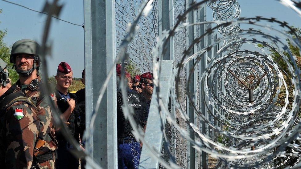 The fence on the Hungarian-Serbian border