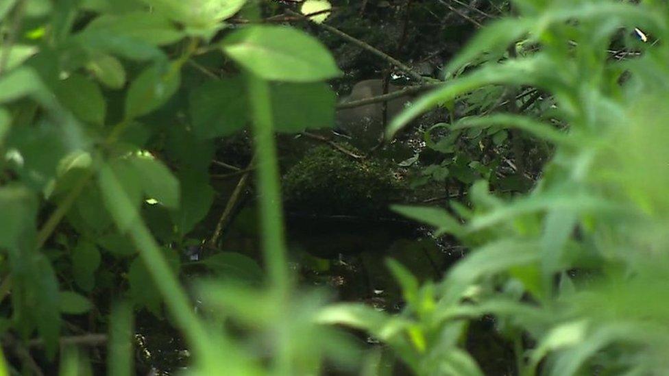 the stream where Mr Perkins' body was discovered in 2017