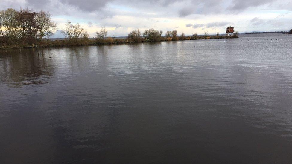 Lough Neagh is home to significant native species like eel, trout and pollan