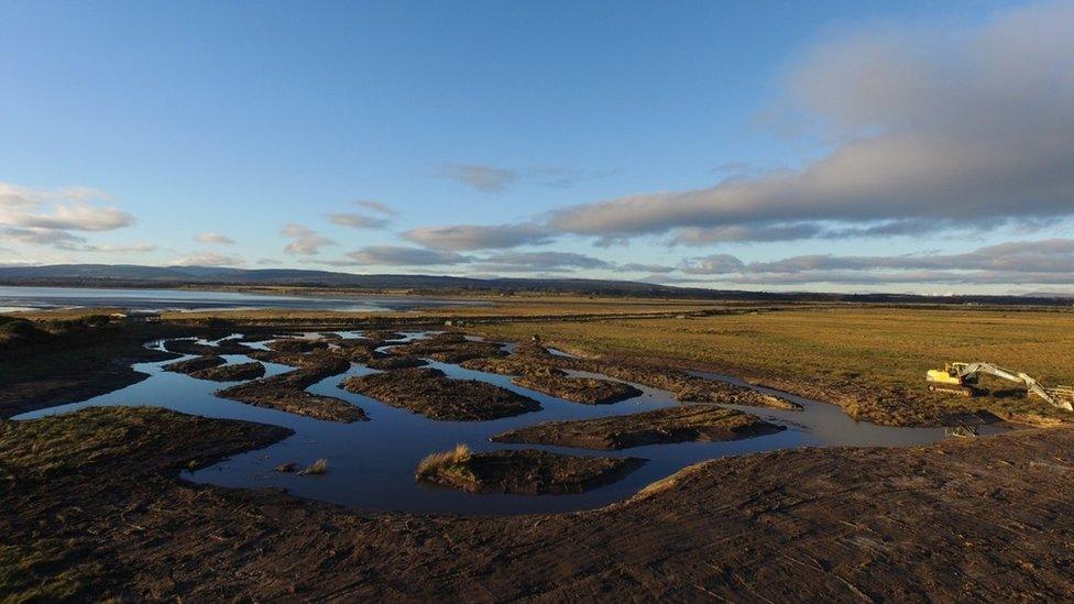 Scrape at Nigg Bay