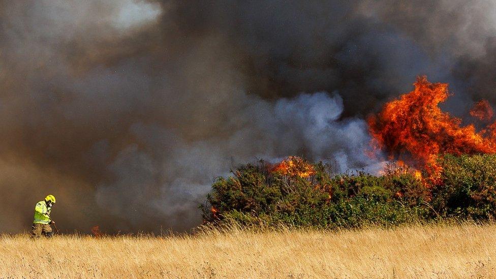 Fire on Pennington Common