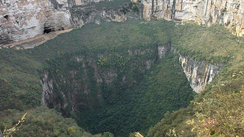 aerial photo of a large sinkhole with lots of plants growing out of it