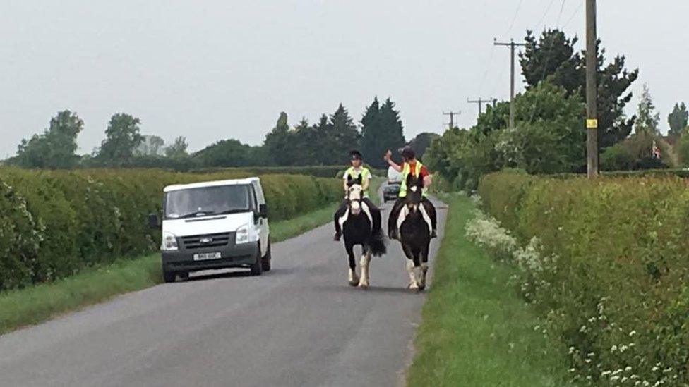 Patsy and another horse being ridden