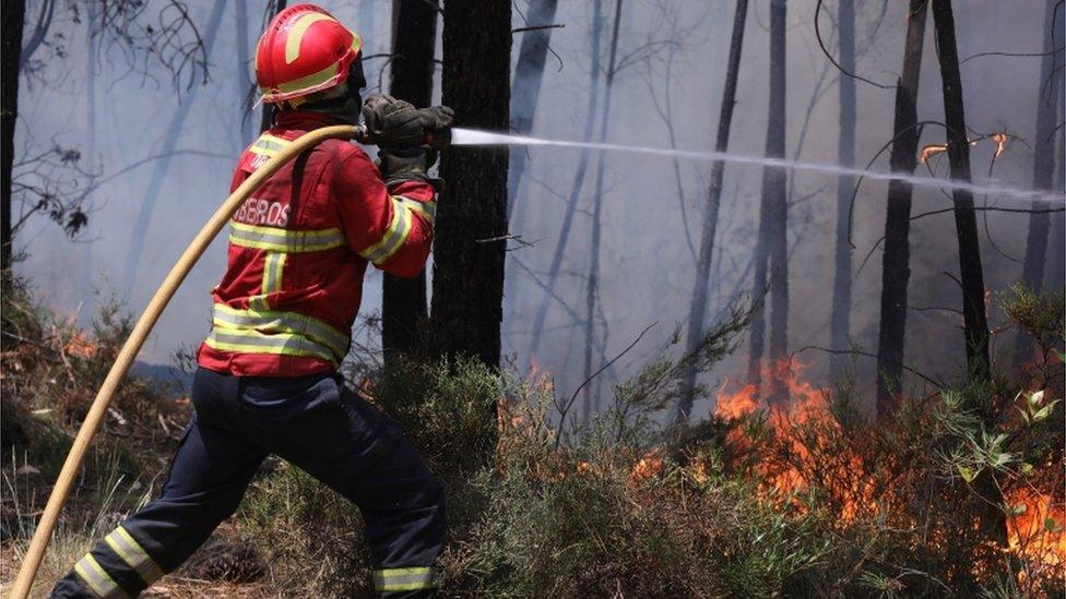 A Portuguese firefighter hoses a fire in Alto da Louriceira, Pedrógão Grande region, central Portugal, 20 June 2017