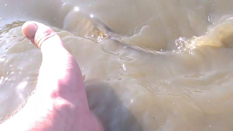 A carp visible in the water at Sandown Canoe Lake