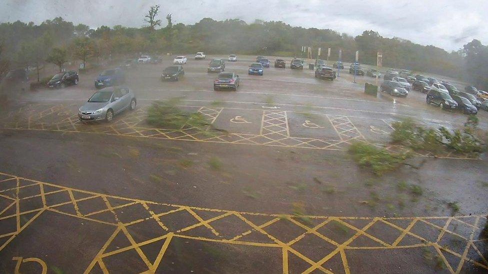 CCTV of Marwell Zoo car park