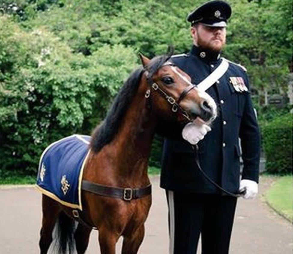 Trooper Jones with Farrier Major Miles Davies at the state opening of the Welsh Assembly