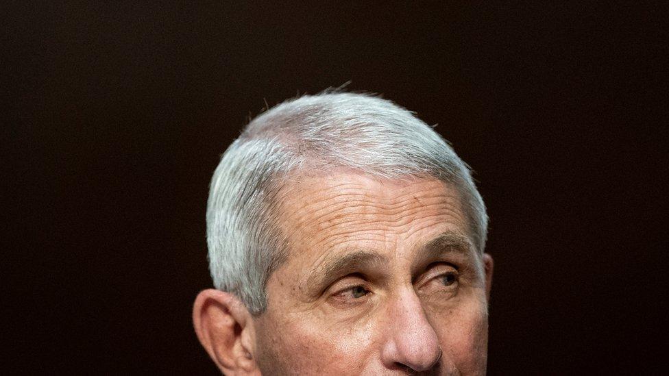 Dr Anthony Fauci