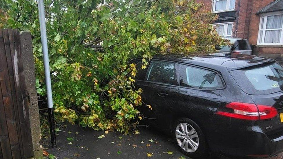 Jodie Munn's car under a tree in Grantham