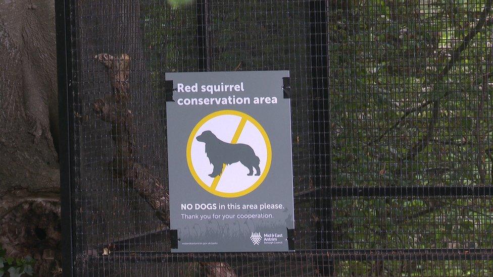 Sign reading 'no dogs red squirrel conservation area'