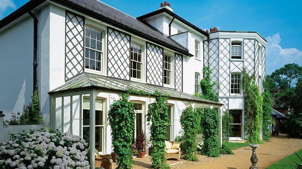 A white house with plants growing on the sides of the walls. Sunny, blue sky in the back