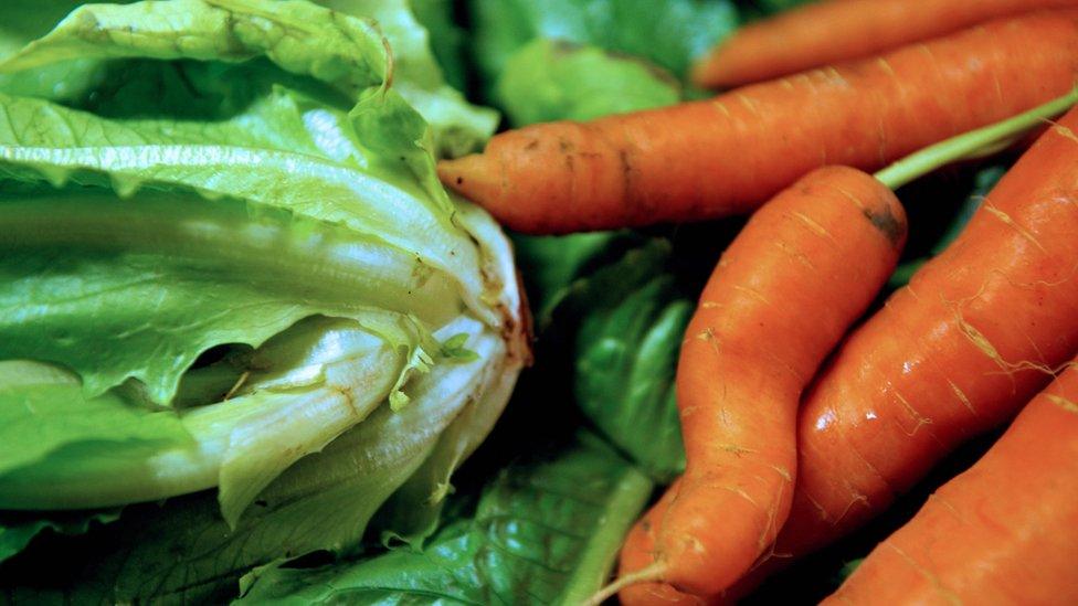 Vegetables affected by a drought in Normandy.