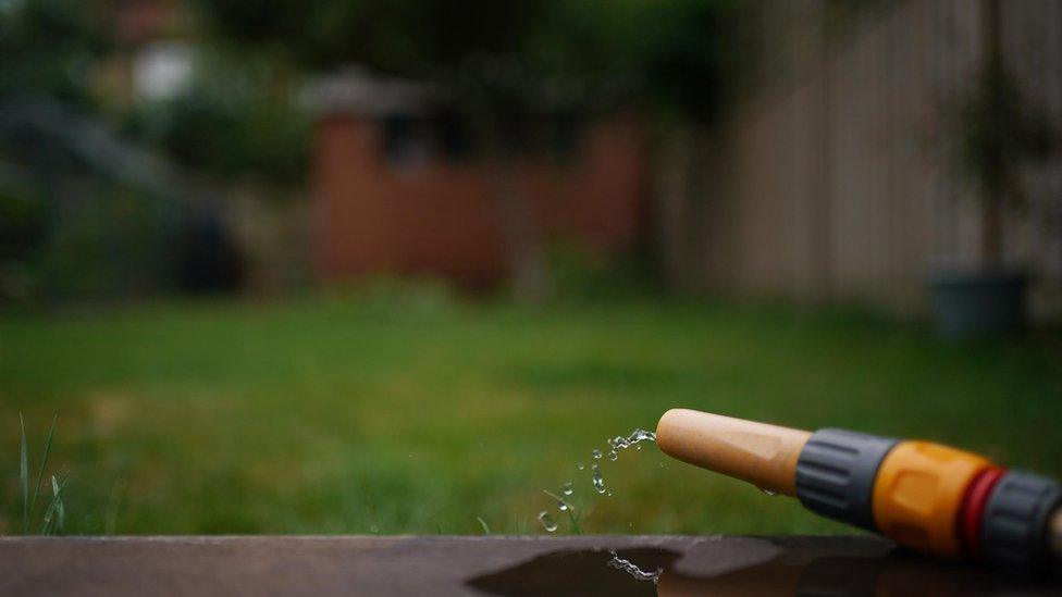 A hosepipe in a garden