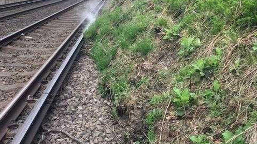 Landslip at Holmwood