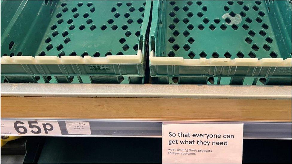 Empty tomato crates at Tesco