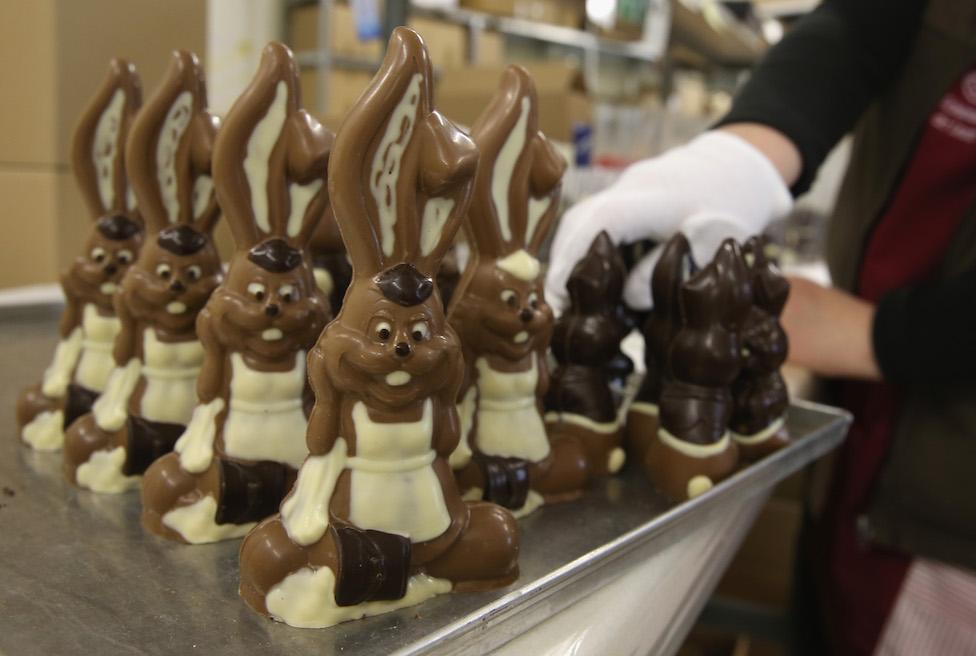 Chocolate easter bunnies