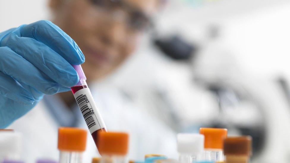 A scientist looks at a blood sample in a test tube