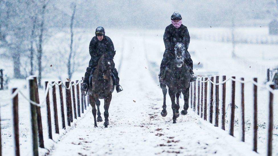 Check out these horses out for a snowy gallop