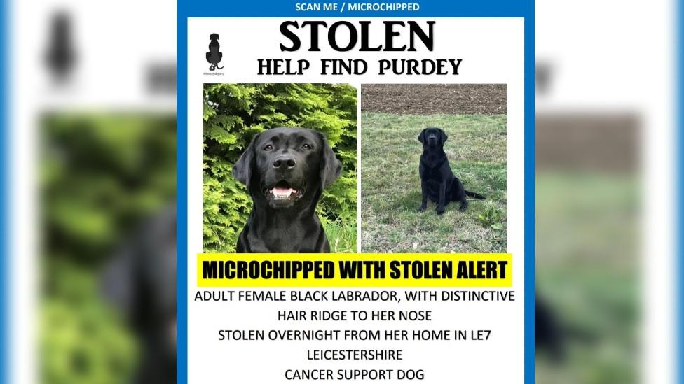 Stolen Purdey poster