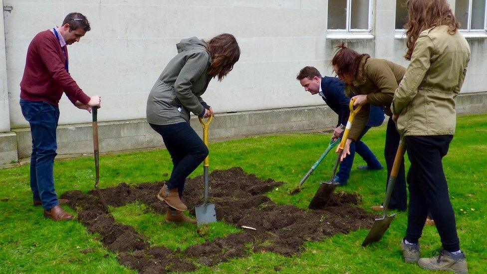 Staff and students take part in bee-friendly planting around Cardiff University