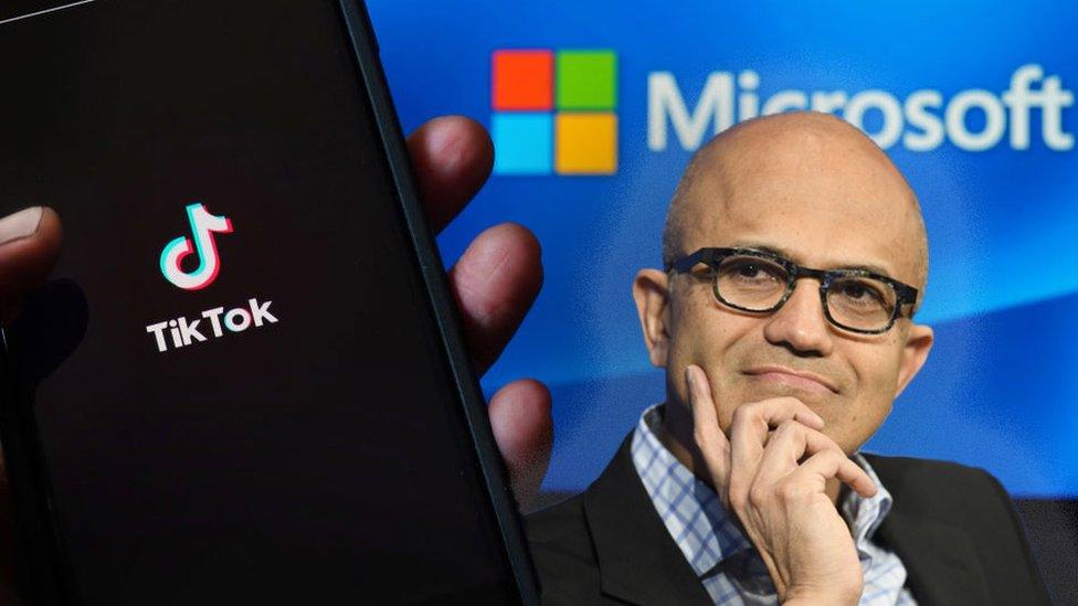 Satya Nadella and TikTok