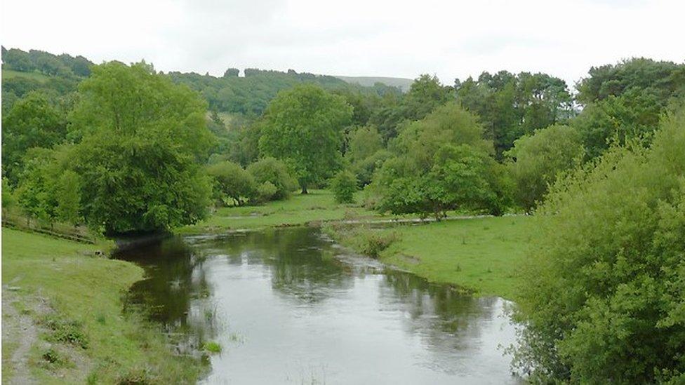 Afon Teifi