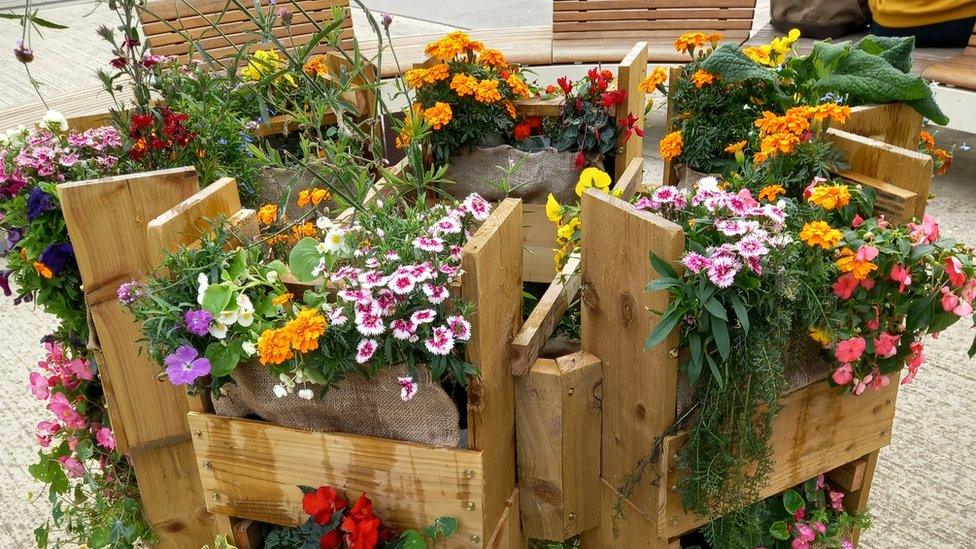 A bee cafe planter in bloom