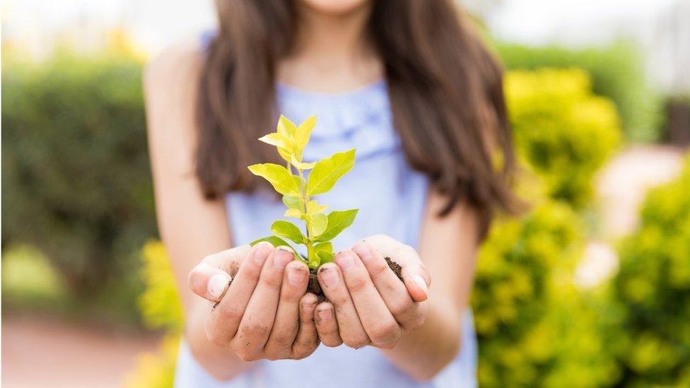 girl-with-plant.