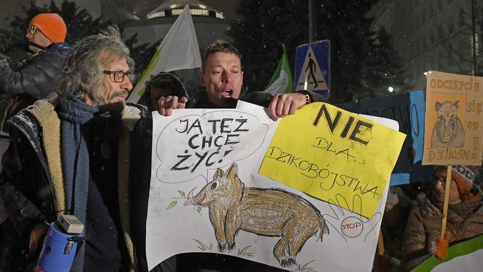 Anti-cull protesters holding drawings of boars in Warsaw