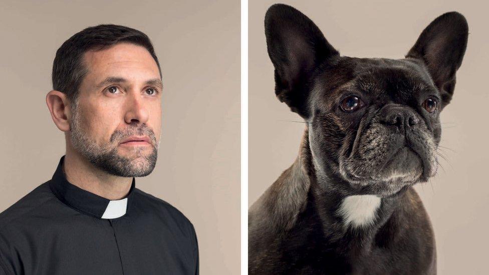 A man in a dog collar stares into the distance next to another picture of a French bulldog with a white patch beneath its chin