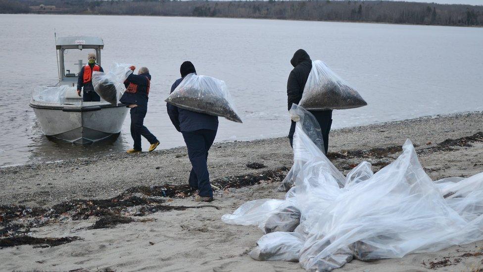 People carrying sacks of rubbish off the shore