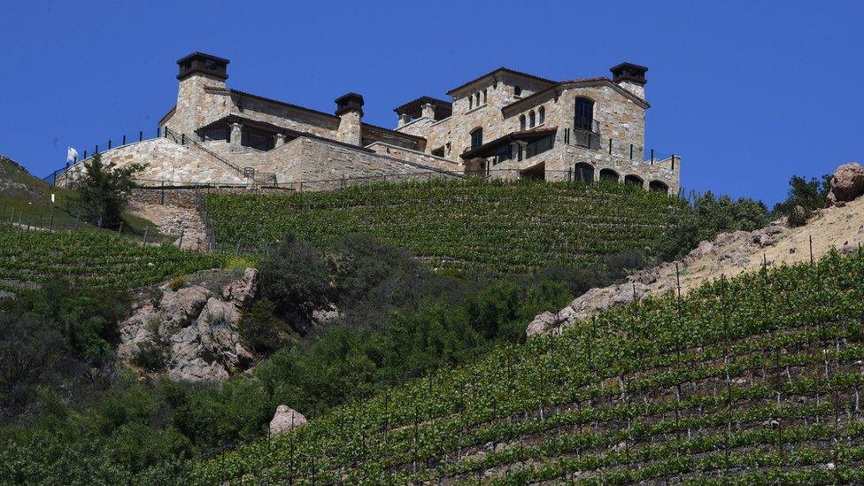 Vineyards in the Malibu region of California on April 19, 2017.