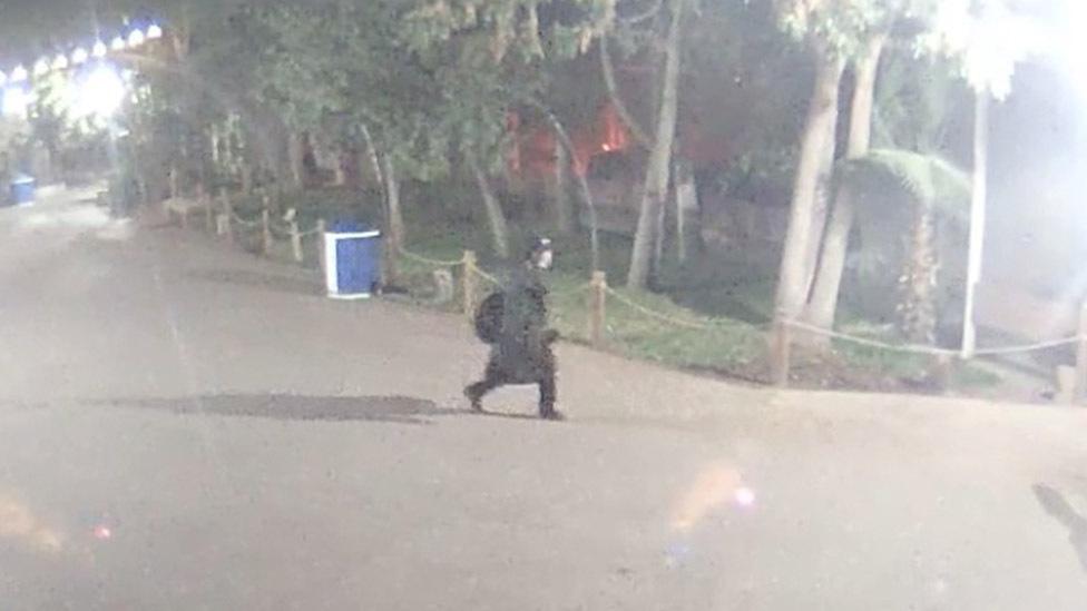 Security footage still shows the alleged thief on zoo grounds