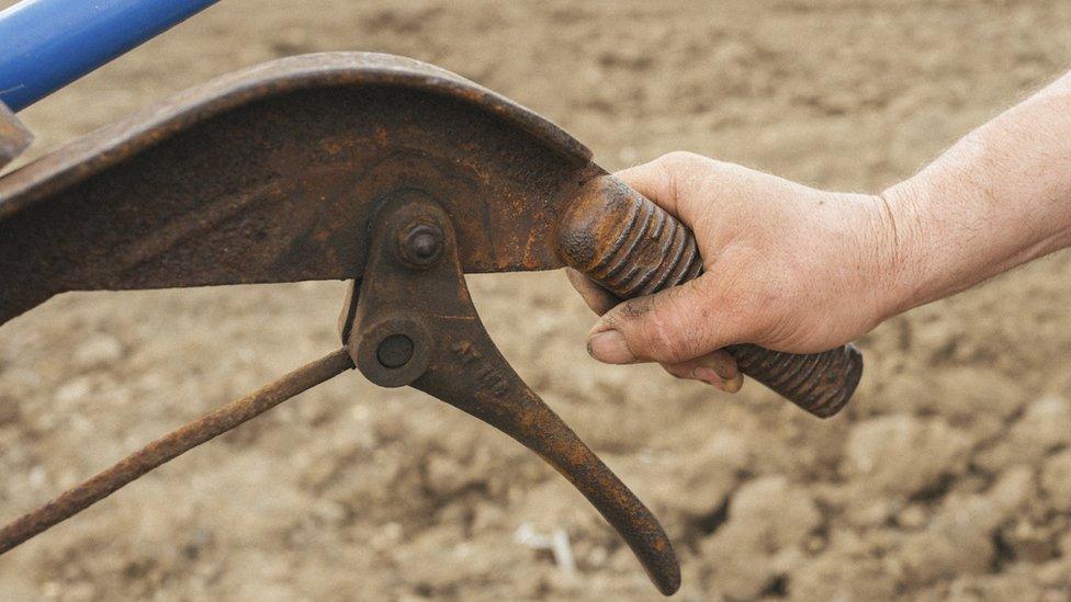 hand on plough handle