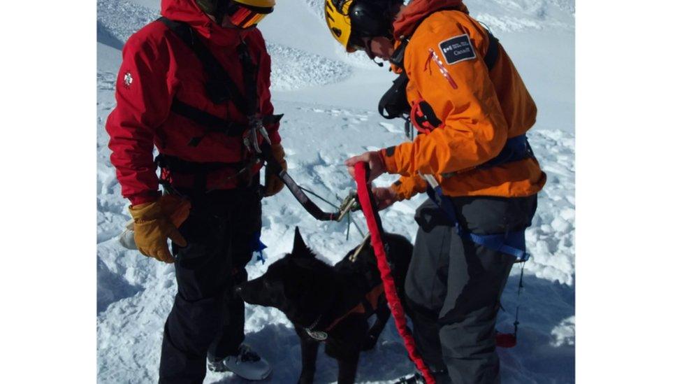 The bodies were located with the help of a specially-trained avalanche dog