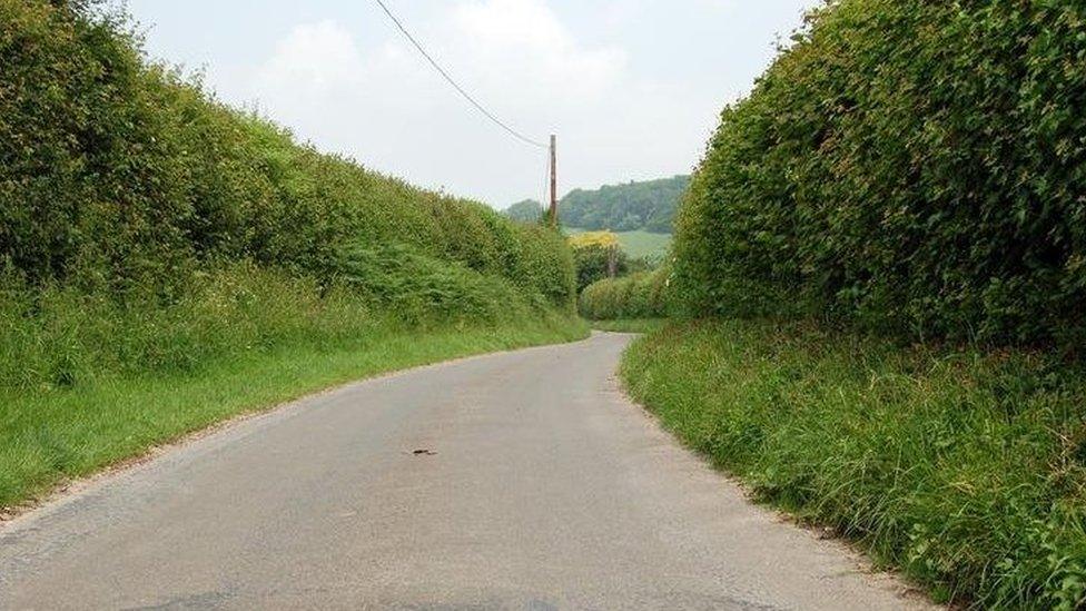 Hedgerows in Buckinghamshire