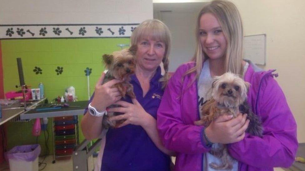 Australian dog groomers with Boo and Pistol at a salon