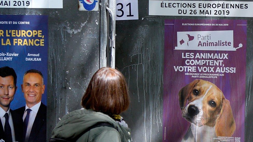 A woman looks at official European election posters outside a polling station in Paris