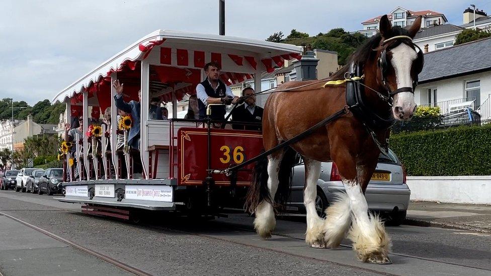 Douglas horse trams 2022