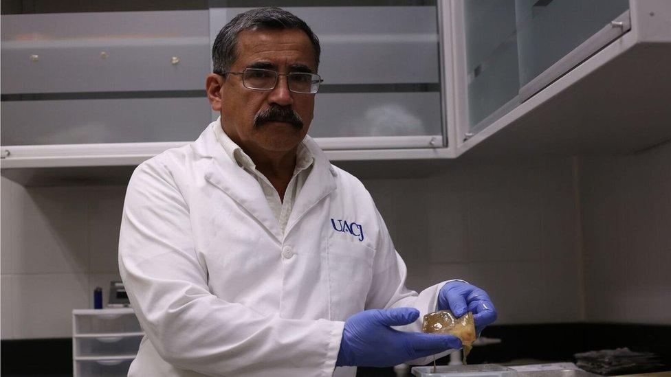 Dr Alejandro Hernández Cárdenas in his lab