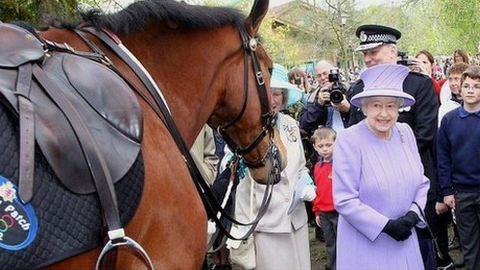 Queen in Yeovil, Nine Springs Country Park