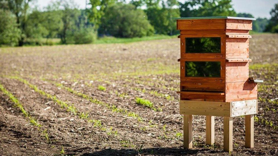 Thermosolar Hive